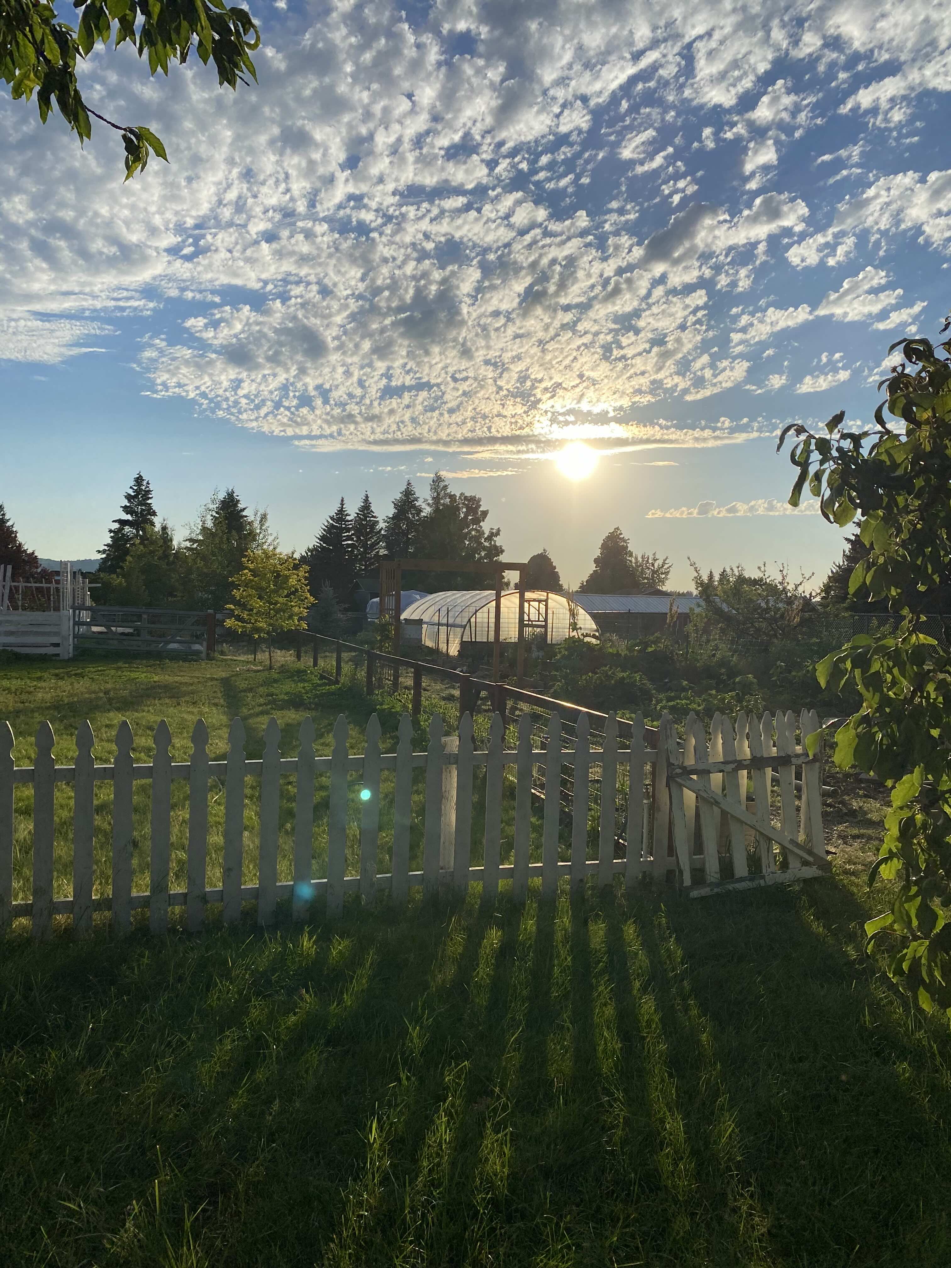 Cartwright Farms in Spokane Valley